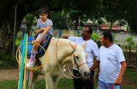 Batalhão da Polícia Militar abriga projeto de equoterapia PL Equoterapia 9