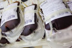 SES inicia estudos no Hemorio para uso de plasma Divulgação RJ