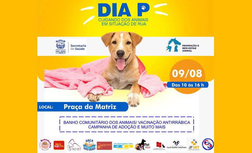 Dia P, ação social voltada para animais em situação de rua