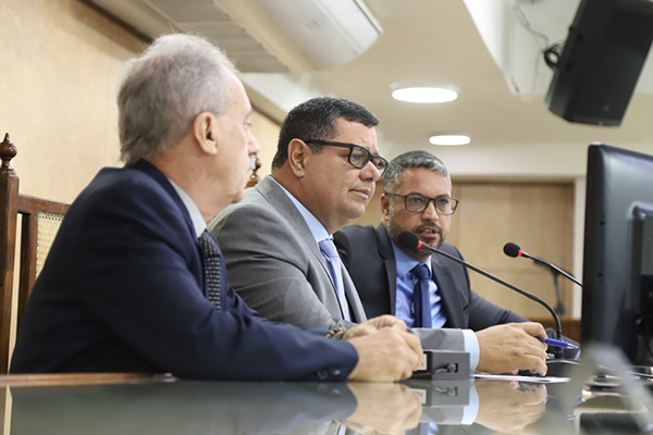 Câmara de Caxias realiza sessão com pautas sobre meio ambiente e iluminação pública