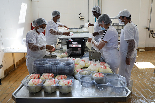 Governo disponibiliza R$ 2 milhões para produtores de leite do Rio