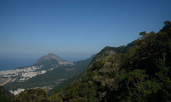 Parque Nacional da Tijuca completa 62 anos