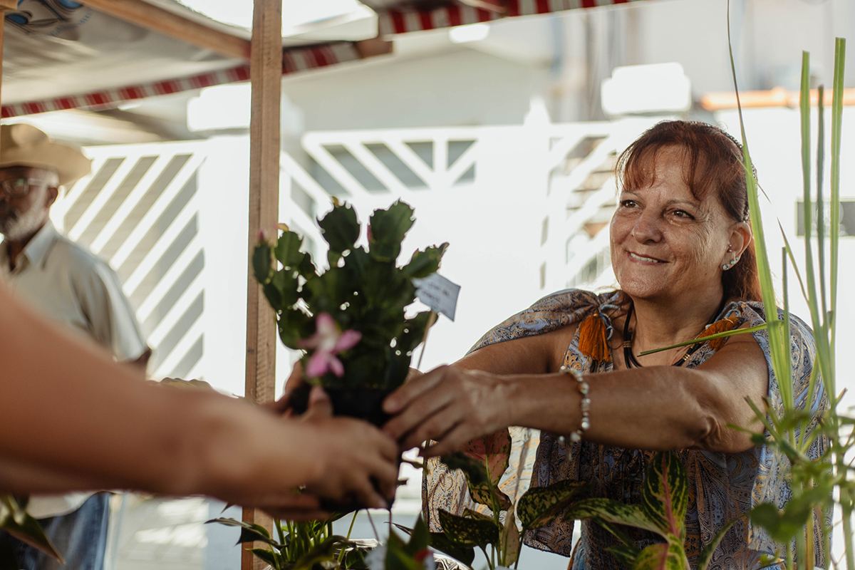 Foto: Thamyris Mello/Maricá Feira da Agricultura Familiar reúne produtores e moradores em Araçatiba