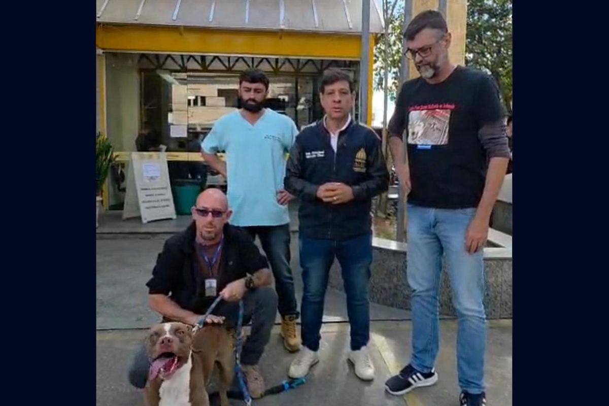 Foto: Divulgação Comissão da Alerj resgata três cães em situação de maus-tratos na Zona Oeste do Rio